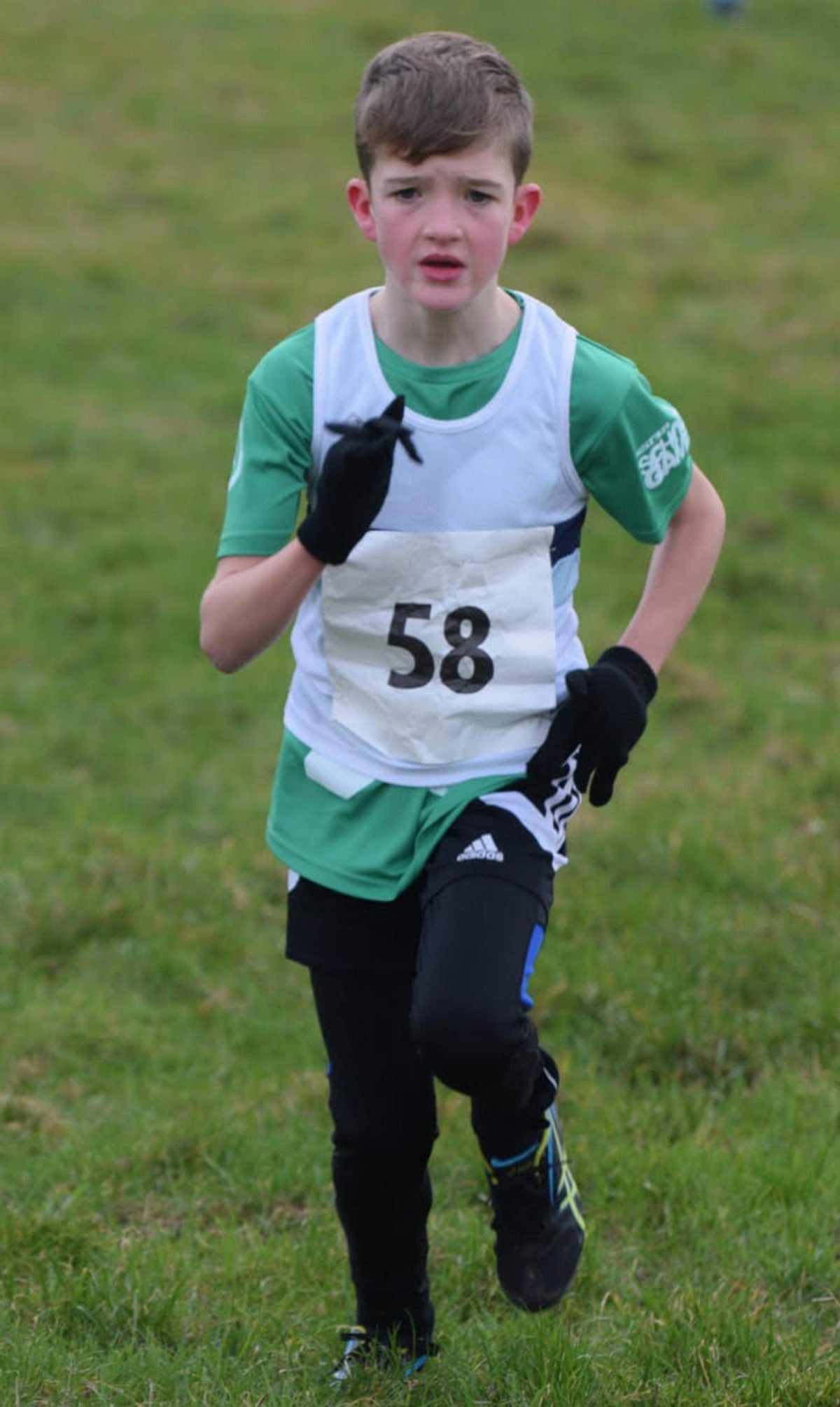 Press Report 17th December 2018