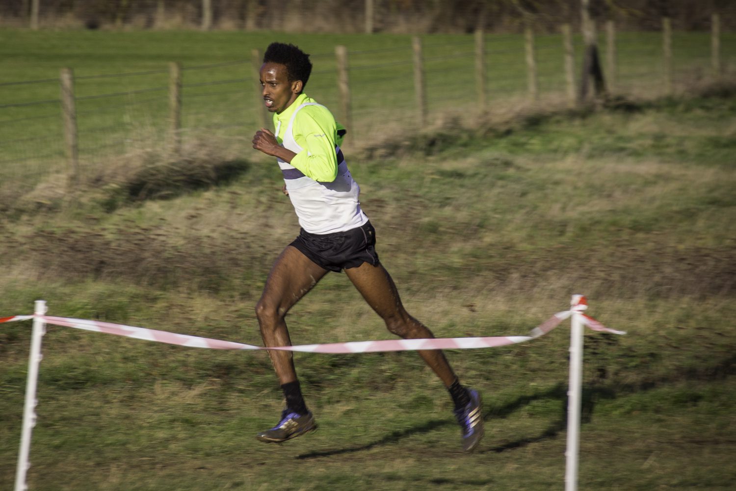 Press Report 17th December 2019