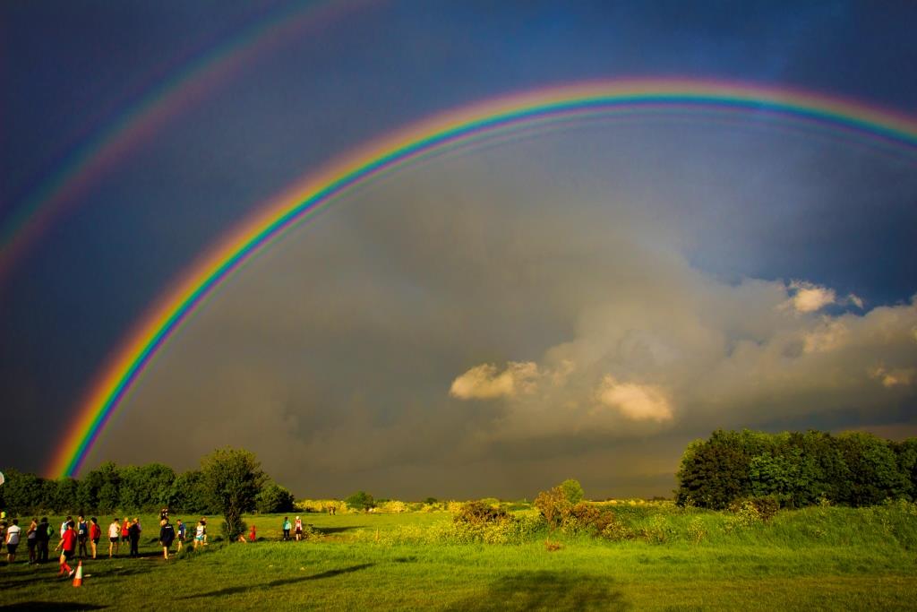 Press Report 24th May 2016